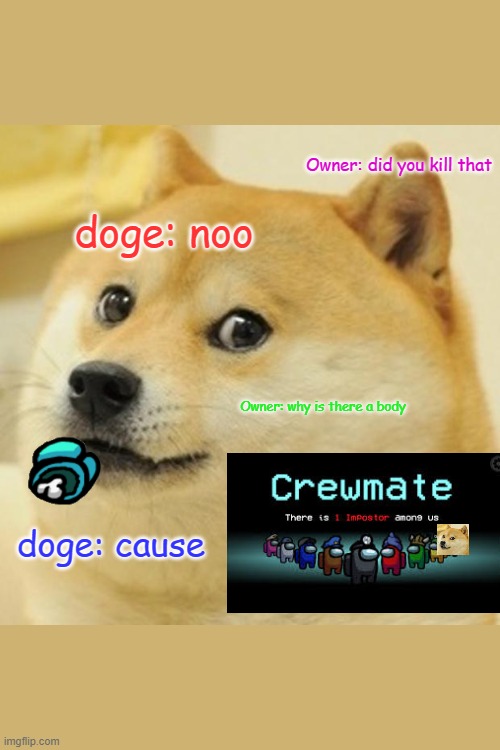 Doge | Owner: did you kill that; doge: noo; Owner: why is there a body; doge: cause | image tagged in memes,doge | made w/ Imgflip meme maker