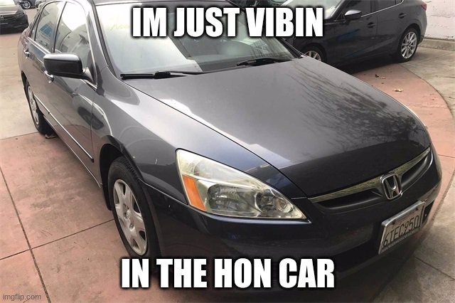 Ritz Car Meme | IM JUST VIBIN; IN THE HON CAR | image tagged in honda,memes,fun,cars,logos | made w/ Imgflip meme maker