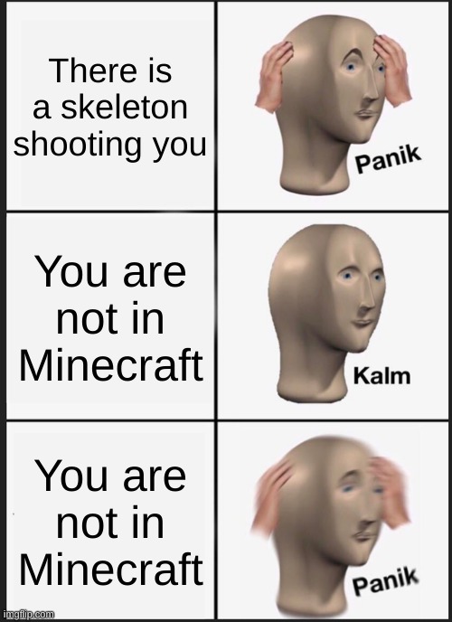 Yay? | There is a skeleton shooting you; You are not in Minecraft; You are not in Minecraft | image tagged in memes,panik kalm panik | made w/ Imgflip meme maker