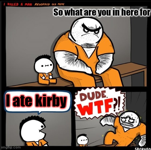 How do you like it | So what are you in here for; I ate kirby | image tagged in dude wtf | made w/ Imgflip meme maker