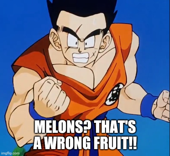Angry Yamcha (DBZ) | MELONS? THAT'S A WRONG FRUIT!! | image tagged in angry yamcha dbz | made w/ Imgflip meme maker
