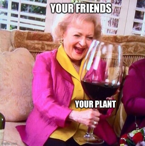 Betty White Wine | YOUR PLANT YOUR FRIENDS | image tagged in betty white wine | made w/ Imgflip meme maker