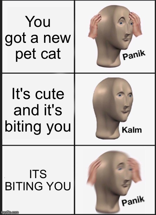The problem with new cats | You got a new pet cat; It's cute and it's biting you; ITS BITING YOU | image tagged in memes,panik kalm panik | made w/ Imgflip meme maker