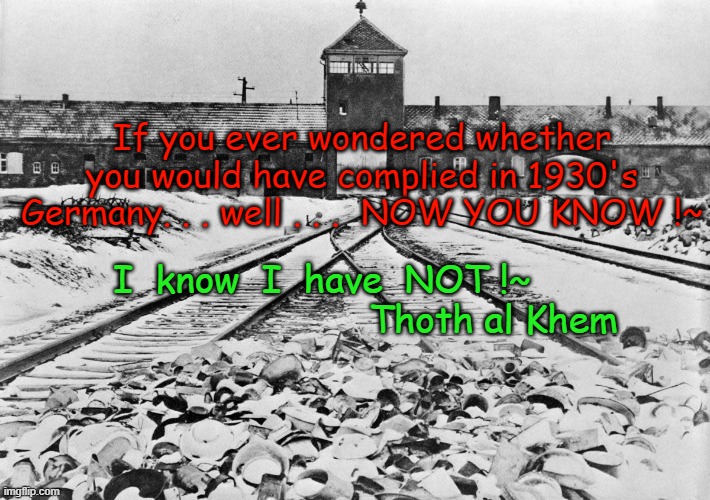 COVIDHOAX AND NAZI GERMANY | If you ever wondered whether you would have complied in 1930's Germany. . . well . . .  NOW YOU KNOW !~; I  know  I  have  NOT !~                                Thoth al Khem | image tagged in covidhoax,plandemic,stupidpeople,nomasks,coronavirus | made w/ Imgflip meme maker