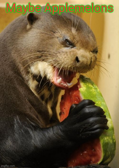Self Loathing Otter Meme | Maybe Applemelons | image tagged in memes,self loathing otter | made w/ Imgflip meme maker