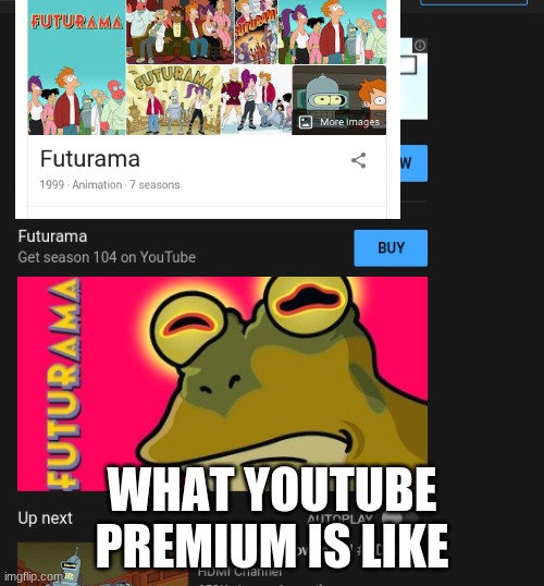 youtube premium | WHAT YOUTUBE PREMIUM IS LIKE | image tagged in youtube ads | made w/ Imgflip meme maker