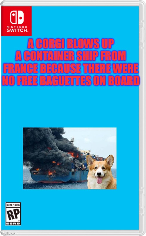 Oh non | A CORGI BLOWS UP A CONTAINER SHIP FROM FRANCE BECAUSE THERE WERE NO FREE BAGUETTES ON BOARD | image tagged in nintendo switch cartridge case | made w/ Imgflip meme maker