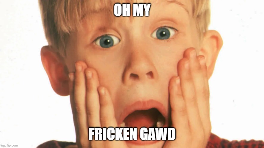 OMG | OH MY; FRICKEN GAWD | image tagged in home alone face | made w/ Imgflip meme maker