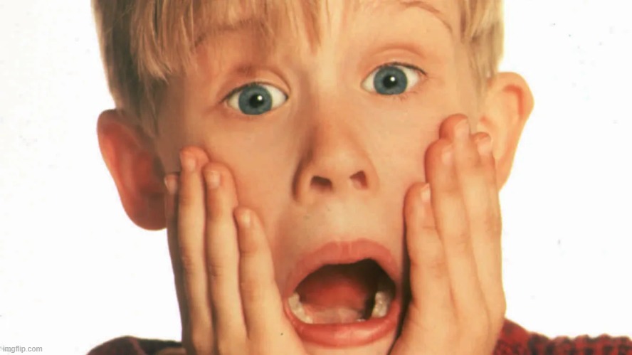 home alone face | image tagged in home alone face | made w/ Imgflip meme maker