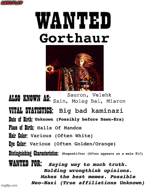 Catch me if you can | ANTIFLIP; Saying way to much truth. Holding wrongthink opinions. Makes the best memes. Possible Neo-Nazi (True affiliations Unknown) | image tagged in fbi,imgflip users,wanted poster | made w/ Imgflip meme maker