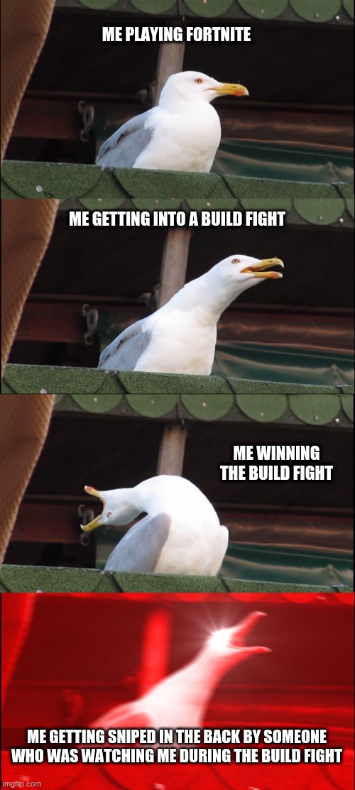 How fortnite be | ME PLAYING FORTNITE; ME GETTING INTO A BUILD FIGHT; ME WINNING THE BUILD FIGHT; ME GETTING SNIPED IN THE BACK BY SOMEONE WHO WAS WATCHING ME DURING THE BUILD FIGHT | image tagged in memes,inhaling seagull | made w/ Imgflip meme maker