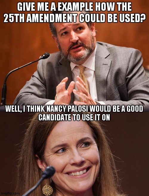 GIVE ME A EXAMPLE HOW THE 25TH AMENDMENT COULD BE USED? WELL, I THINK NANCY PALOSI WOULD BE A GOOD CANDIDATE TO USE IT ON | image tagged in ted cruz | made w/ Imgflip meme maker