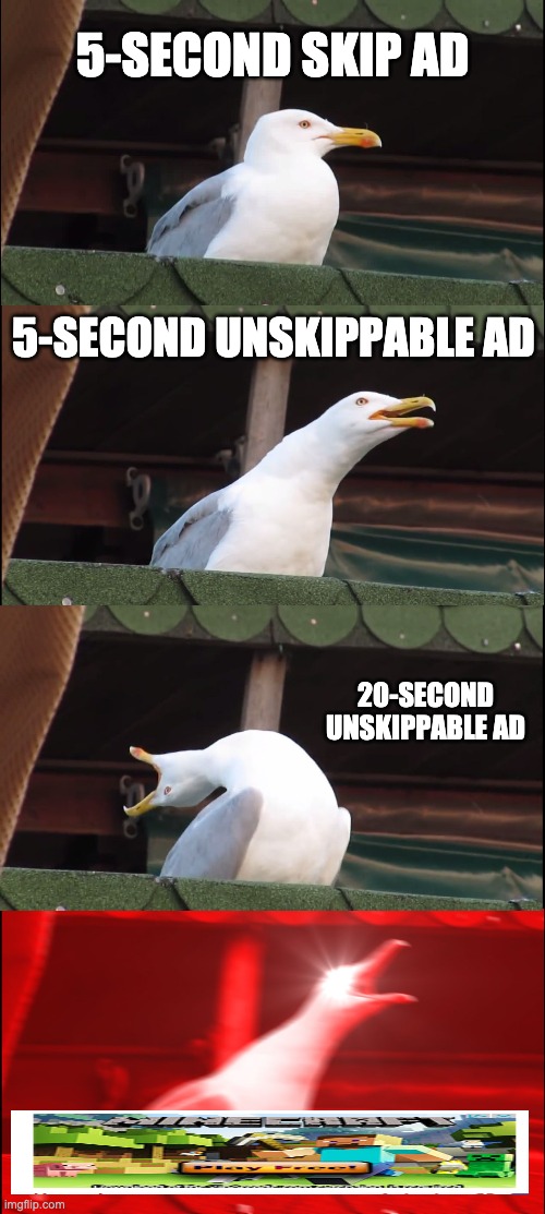 Inhaling Seagull | 5-SECOND SKIP AD; 5-SECOND UNSKIPPABLE AD; 20-SECOND UNSKIPPABLE AD | image tagged in memes,inhaling seagull | made w/ Imgflip meme maker