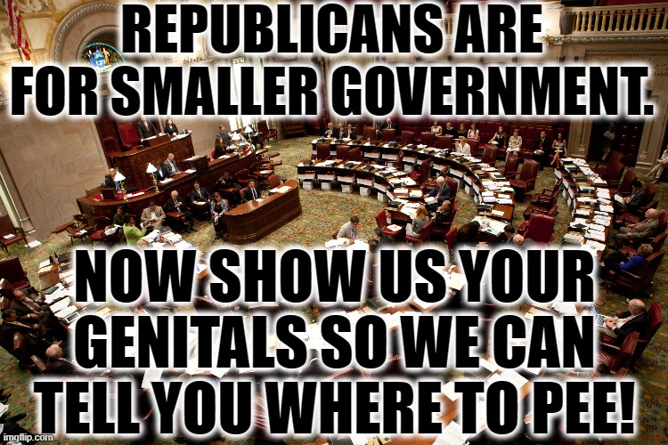 Smaller Gov't! | REPUBLICANS ARE FOR SMALLER GOVERNMENT. NOW SHOW US YOUR GENITALS SO WE CAN TELL YOU WHERE TO PEE! | image tagged in republicans,government,democrats,election 2020,donald trump,senate | made w/ Imgflip meme maker