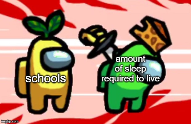 am i wrong | amount of sleep required to live; schools | image tagged in among us stab | made w/ Imgflip meme maker