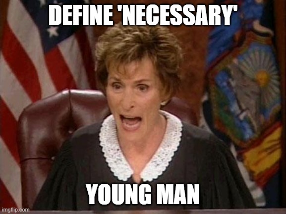 Judge Judy | DEFINE 'NECESSARY' YOUNG MAN | image tagged in judge judy | made w/ Imgflip meme maker