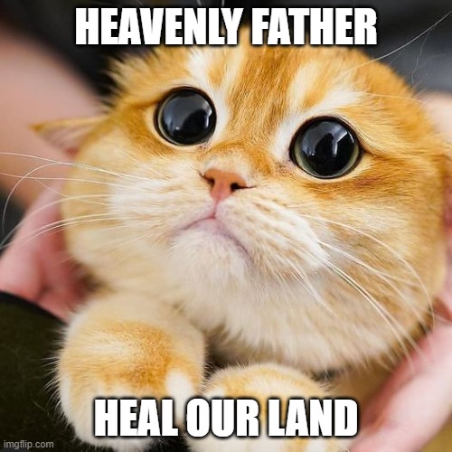 Heavenly Father | HEAVENLY FATHER; HEAL OUR LAND | image tagged in kitty | made w/ Imgflip meme maker