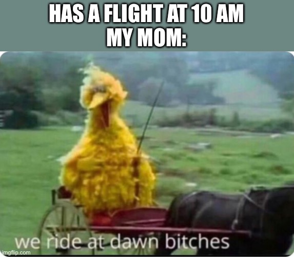 Seriously every time | HAS A FLIGHT AT 10 AM
MY MOM: | image tagged in big bird | made w/ Imgflip meme maker