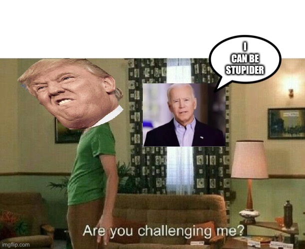 Are you challenging me? | I CAN BE STUPIDER | image tagged in are you challenging me | made w/ Imgflip meme maker