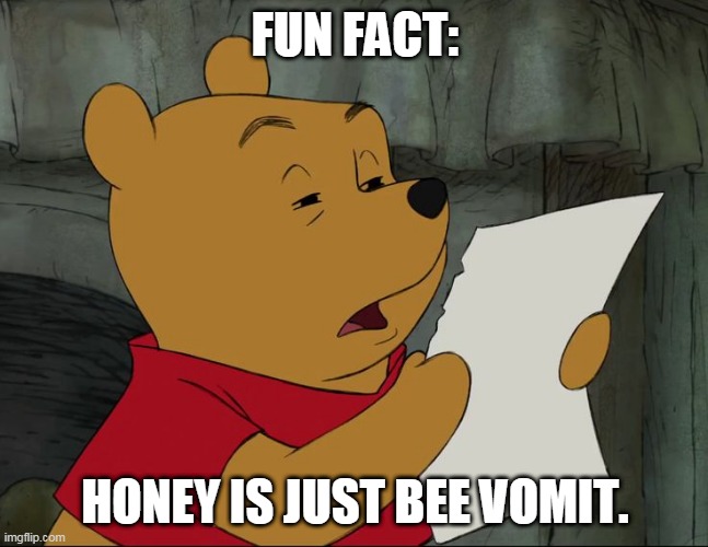 The fact that honey is bee vomit | FUN FACT:; HONEY IS JUST BEE VOMIT. | image tagged in winnie the pooh,funny memes,fun | made w/ Imgflip meme maker