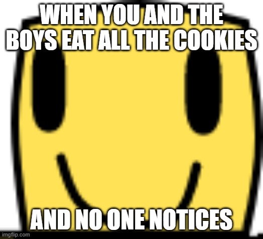 boi this is relatable | WHEN YOU AND THE BOYS EAT ALL THE COOKIES; AND NO ONE NOTICES | image tagged in cookies | made w/ Imgflip meme maker
