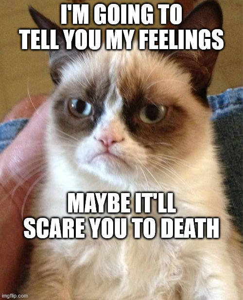 Grumpy Cat | I'M GOING TO TELL YOU MY FEELINGS; MAYBE IT'LL SCARE YOU TO DEATH | image tagged in memes,grumpy cat | made w/ Imgflip meme maker