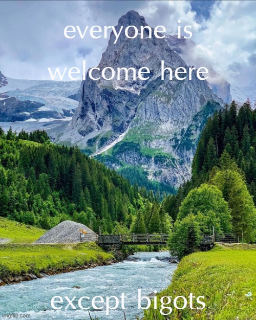 do u find this ironic? well bruh i find people who refuse to accept others because of the way they were born ironic | everyone is welcome here; except bigots | image tagged in bern switzerland | made w/ Imgflip meme maker