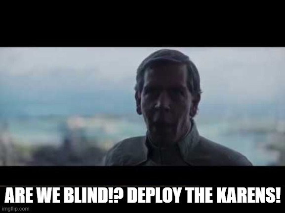 Karen | ARE WE BLIND!? DEPLOY THE KARENS! | image tagged in are we blind deploy the garrison | made w/ Imgflip meme maker