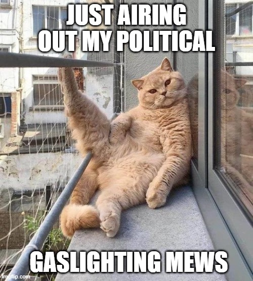 Political kitty | JUST AIRING OUT MY POLITICAL; GASLIGHTING MEWS | image tagged in political | made w/ Imgflip meme maker