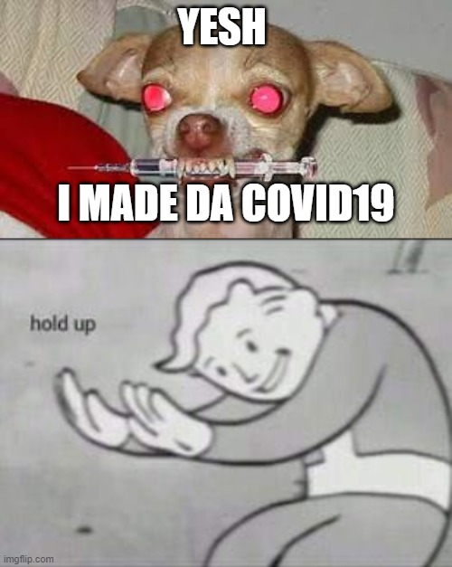 hehehehe | YESH; I MADE DA COVID19 | image tagged in fallout hold up,covid dog | made w/ Imgflip meme maker