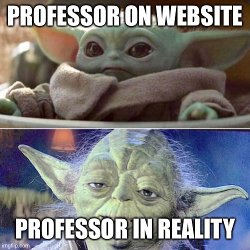 Professor on website vs. Professor IRL | PROFESSOR ON WEBSITE; PROFESSOR IN REALITY | image tagged in baby yoda vs old yoda | made w/ Imgflip meme maker