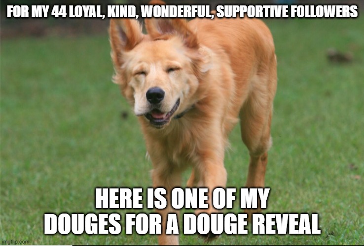 doug reveal...his name is rusty and he is a pure bred rescue golder retriever! UwU | FOR MY 44 LOYAL, KIND, WONDERFUL, SUPPORTIVE FOLLOWERS; HERE IS ONE OF MY DOUGES FOR A DOUGE REVEAL | image tagged in doggos,face reveal,golden retriever,followers,too cute,i love you | made w/ Imgflip meme maker