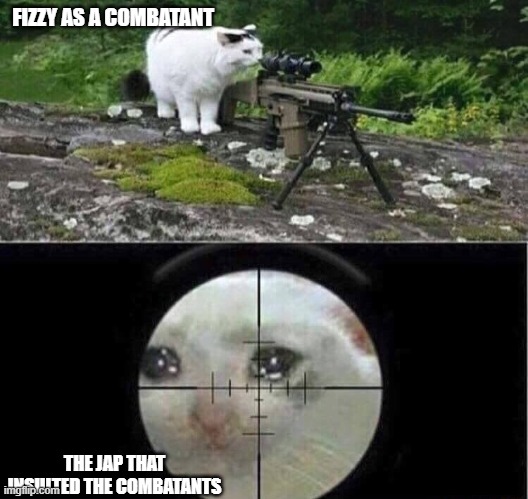 Sniper cat | FIZZY AS A COMBATANT; THE JAP THAT INSULTED THE COMBATANTS | image tagged in sniper cat | made w/ Imgflip meme maker