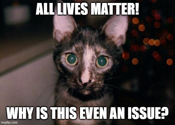 Midgie | ALL LIVES MATTER! WHY IS THIS EVEN AN ISSUE? | image tagged in unikitty | made w/ Imgflip meme maker