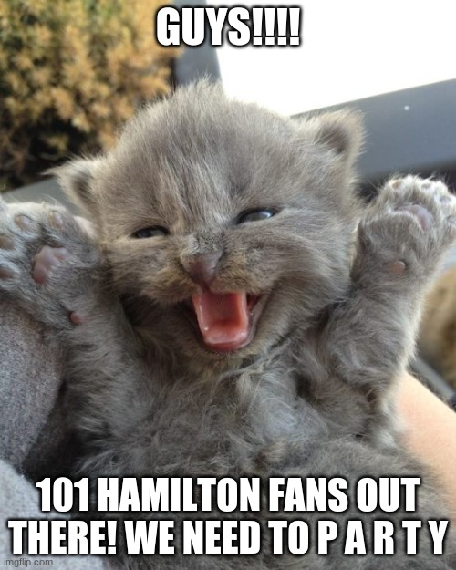 WOOOO!!!!!!!! THANKS YALL | GUYS!!!! 101 HAMILTON FANS OUT THERE! WE NEED TO P A R T Y | image tagged in yay kitty | made w/ Imgflip meme maker