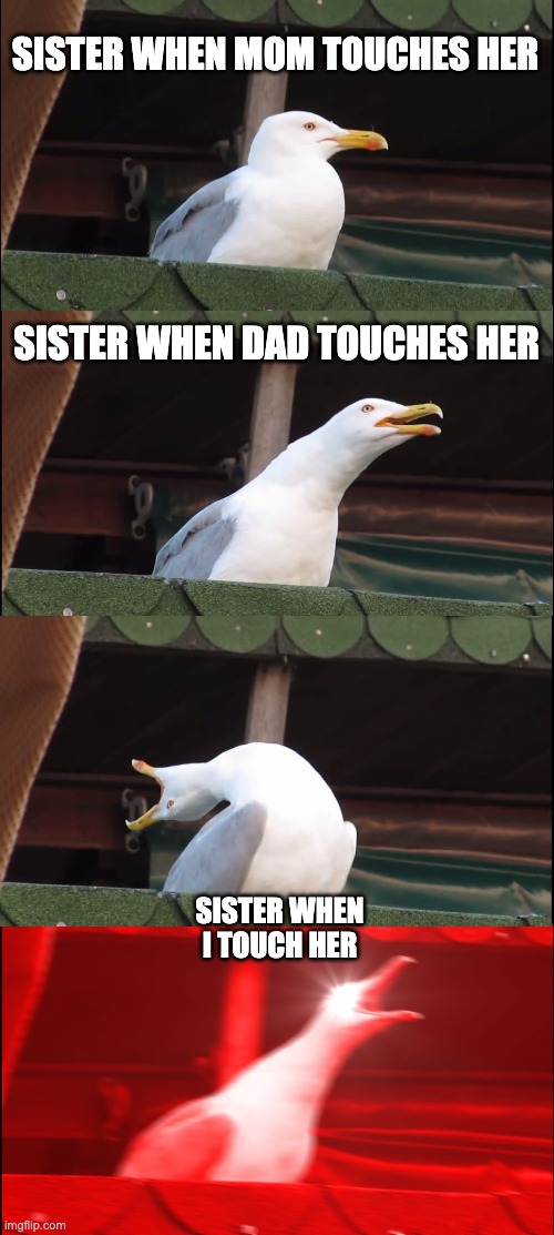Inhaling Seagull | SISTER WHEN MOM TOUCHES HER; SISTER WHEN DAD TOUCHES HER; SISTER WHEN I TOUCH HER | image tagged in memes,inhaling seagull | made w/ Imgflip meme maker