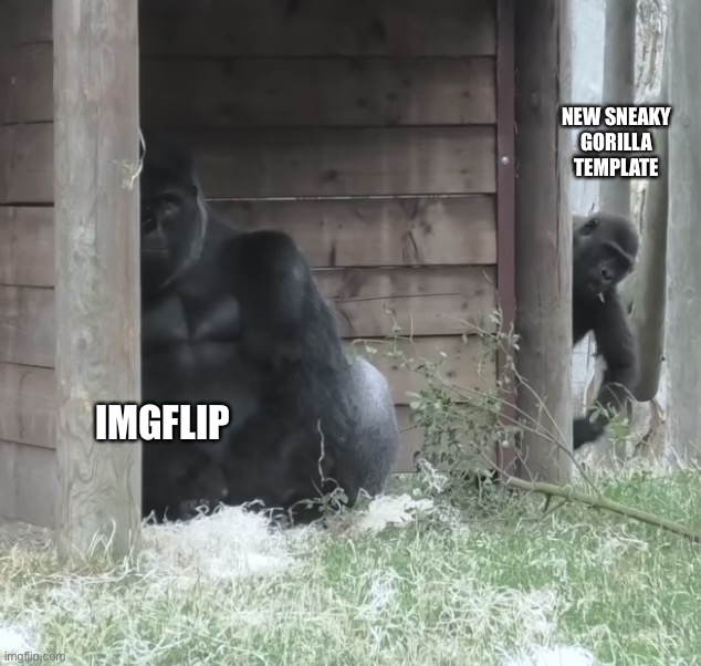 New template I’m proud of :) | NEW SNEAKY GORILLA TEMPLATE; IMGFLIP | image tagged in sneaky gorilla kid | made w/ Imgflip meme maker