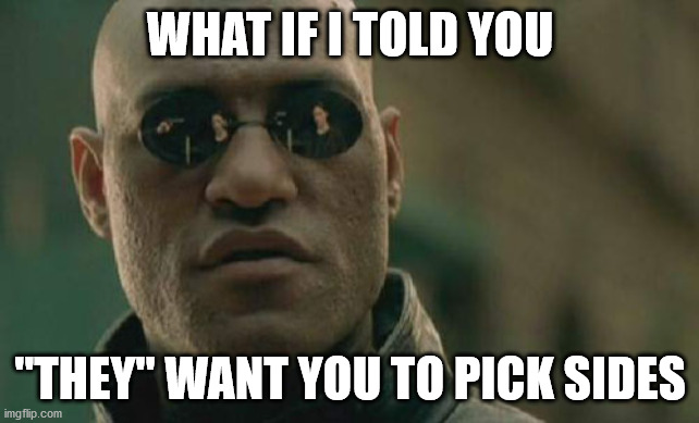 Matrix Morpheus | WHAT IF I TOLD YOU; "THEY" WANT YOU TO PICK SIDES | image tagged in memes,matrix morpheus | made w/ Imgflip meme maker