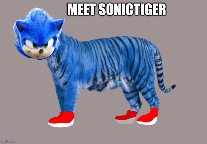 MEET SONICTIGER | made w/ Imgflip meme maker