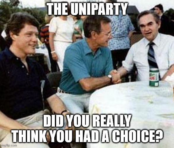 Bush Clinton Wallace | THE UNIPARTY; DID YOU REALLY THINK YOU HAD A CHOICE? | image tagged in bush clinton wallace | made w/ Imgflip meme maker