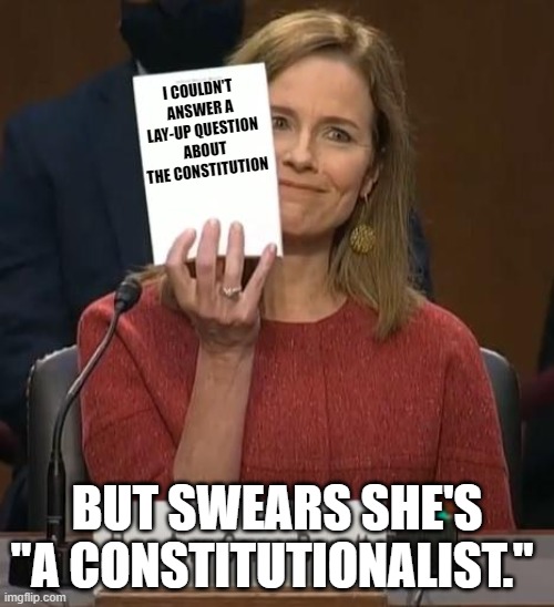 Guess she should have taken notes after all, huh? | I COULDN'T ANSWER A LAY-UP QUESTION ABOUT THE CONSTITUTION; BUT SWEARS SHE'S "A CONSTITUTIONALIST." | image tagged in acb's notepad,amy coathanger barret,stupid conservatives,supreme court | made w/ Imgflip meme maker