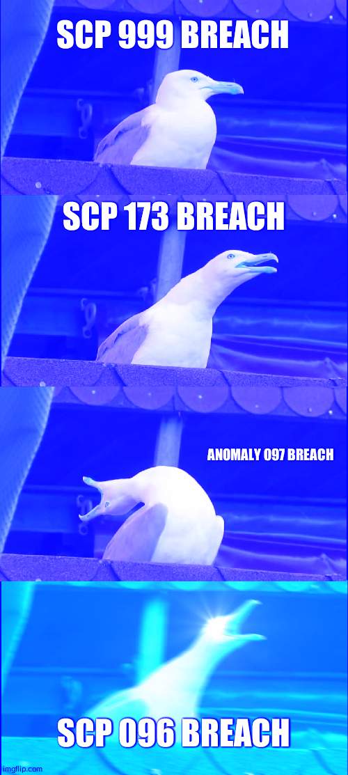 Inhaling Seagull Meme | SCP 999 BREACH; SCP 173 BREACH; ANOMALY 097 BREACH; SCP 096 BREACH | image tagged in memes,inhaling seagull | made w/ Imgflip meme maker