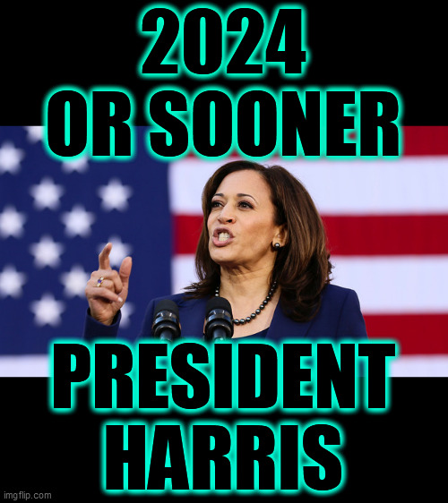 Joe Biden AND Kamala Harris WILL unite the country, divided by the toddler president. Senator Harris is ready, when necessary. | 2024 OR SOONER; PRESIDENT HARRIS | image tagged in kamala harris,biden harris 2020,dump trump,united states of america,2020 elections,united not divided | made w/ Imgflip meme maker