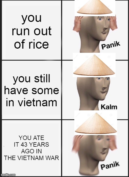 oh no the rice | you run out of rice; you still have some in vietnam; YOU ATE IT 43 YEARS AGO IN THE VIETNAM WAR | image tagged in memes,panik kalm panik | made w/ Imgflip meme maker