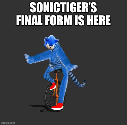 Here comes the salty boi | SONICTIGER’S FINAL FORM IS HERE | made w/ Imgflip meme maker