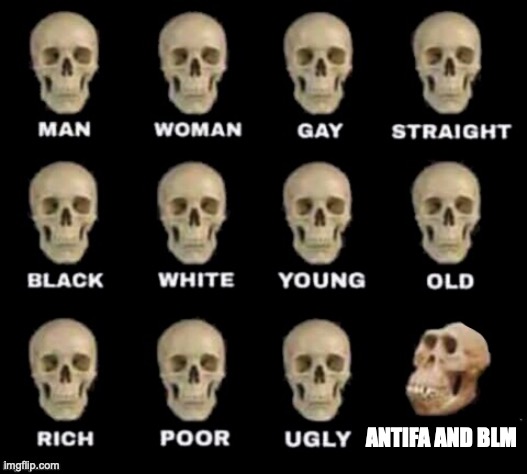 idiot skull | ANTIFA AND BLM | image tagged in idiot skull,blm,antifa | made w/ Imgflip meme maker