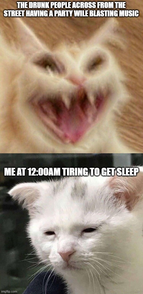 cat | THE DRUNK PEOPLE ACROSS FROM THE STREET HAVING A PARTY WILE BLASTING MUSIC; ME AT 12:00AM TIRING TO GET SLEEP | image tagged in sad cat thumbs up | made w/ Imgflip meme maker