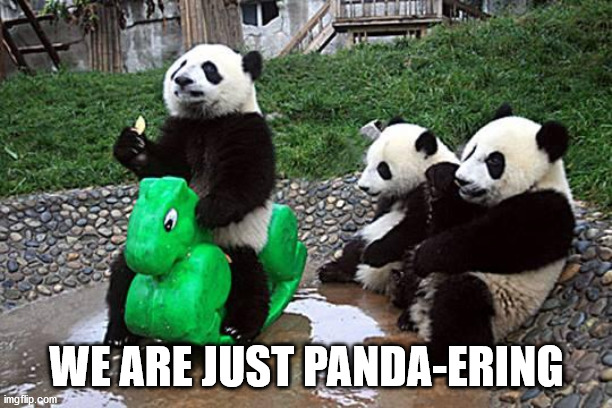 Pandering Panda | WE ARE JUST PANDA-ERING | image tagged in pandering panda | made w/ Imgflip meme maker