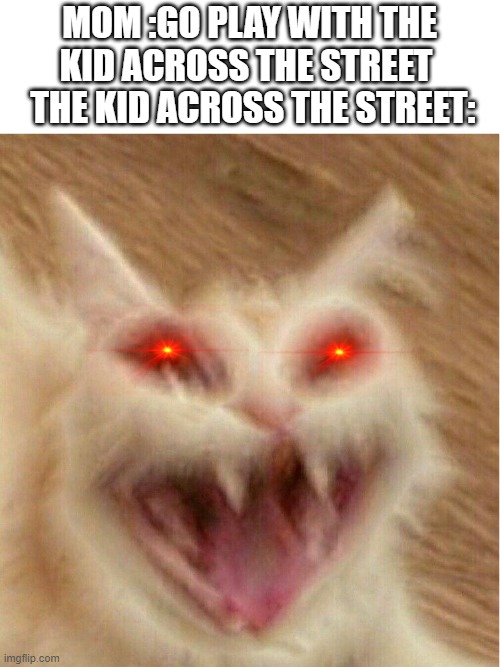 mad cats | MOM :GO PLAY WITH THE KID ACROSS THE STREET   THE KID ACROSS THE STREET: | image tagged in screaming cat | made w/ Imgflip meme maker