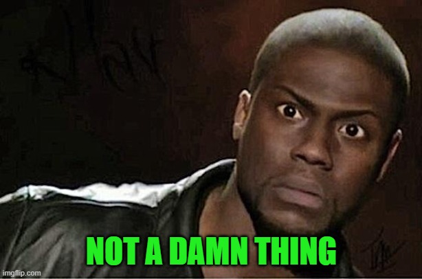 Kevin Hart Meme | NOT A DAMN THING | image tagged in memes,kevin hart | made w/ Imgflip meme maker